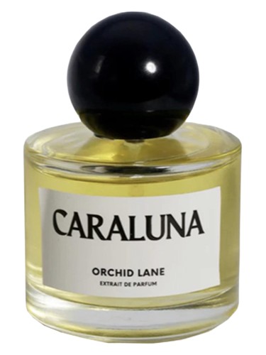 Caraluna by Orchid Lane