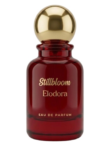 Stillbloom by Elodora