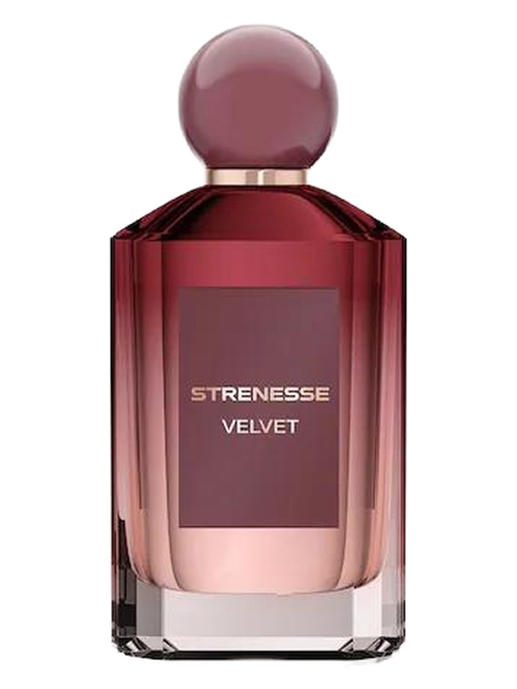 Velvet Strenesse perfume - a fragrance for women 2024