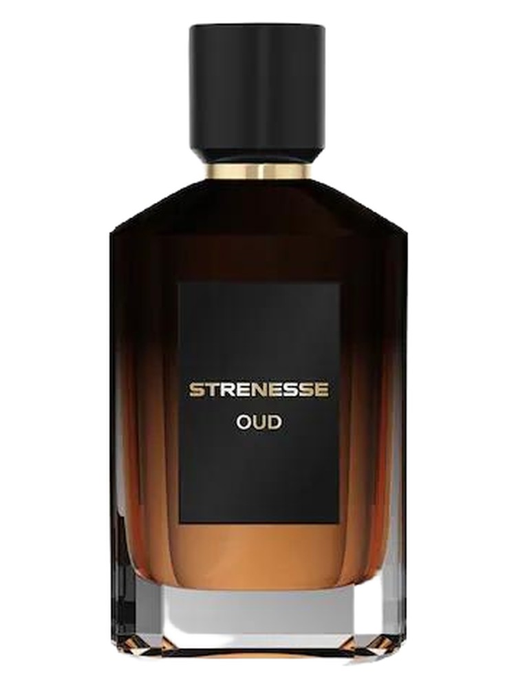 Oud Strenesse cologne - a fragrance for men 2024