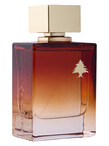 Munah Sarin by Maison Salem