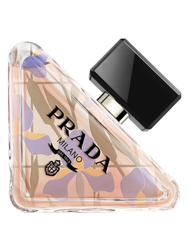 Paradoxe Orchidea Edition Prada perfume - a new fragrance for