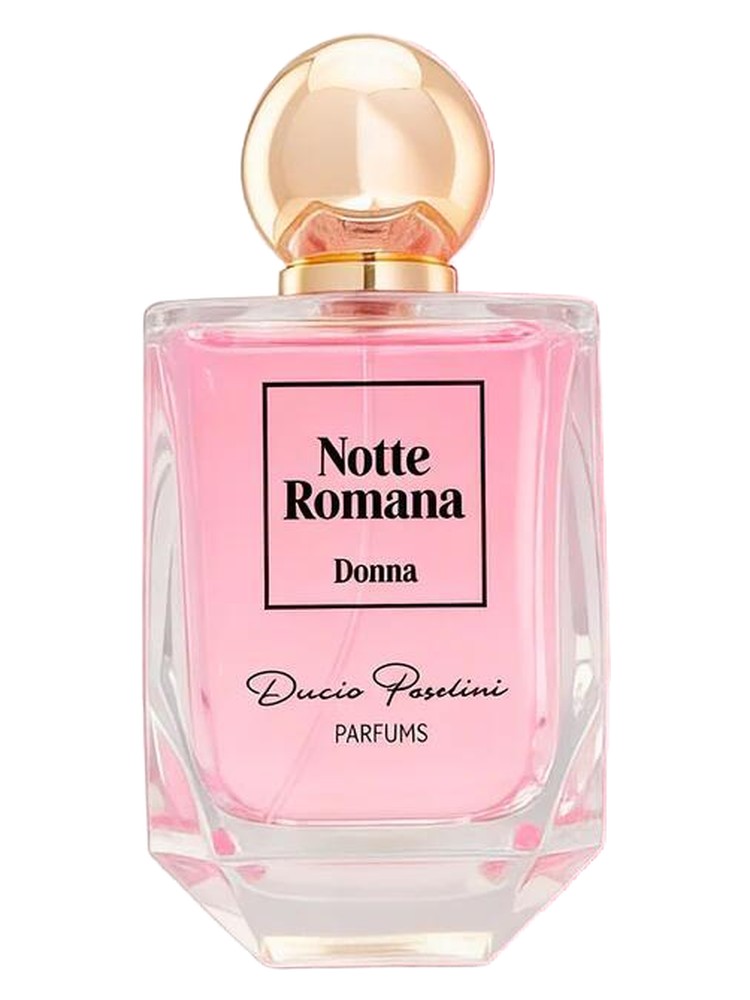 Notte Romana Donna Duccio Pasolini perfume - a new fragrance for women 2026