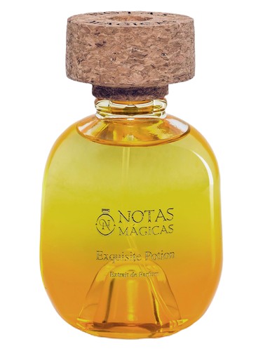 Exquisite Potion by Notas Magicas