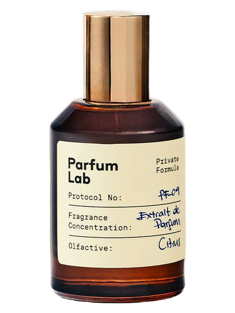 PF-09 Parfum Lab perfume - a new fragrance for women and men 2025