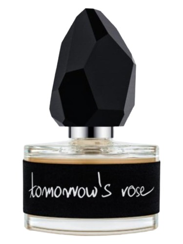 Tomorrow’s Rose by yDe