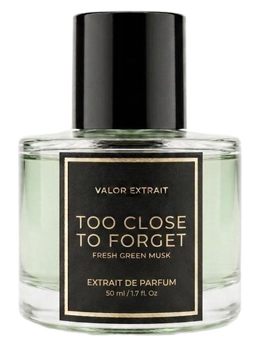 Too Close To Forget by Valor Extrait