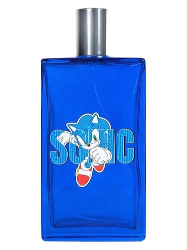 Sonic the Hedgehog: Blue Blur by Numskull