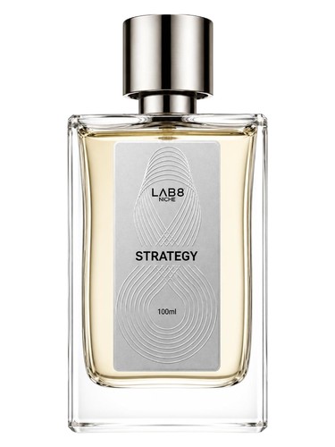 Strategy by LAB 8