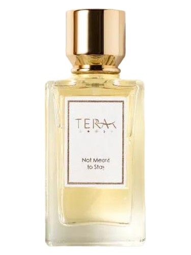 Not Meant to Stay 陌上花 by Terra·T
