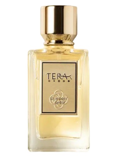 Ici, le pas s’arrête 凝山 by Terra·T