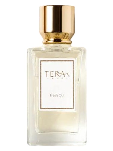 The Fresh Cut 切新青 by Terra·T