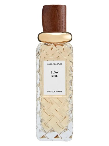 Slow Rise by Bottega Veneta