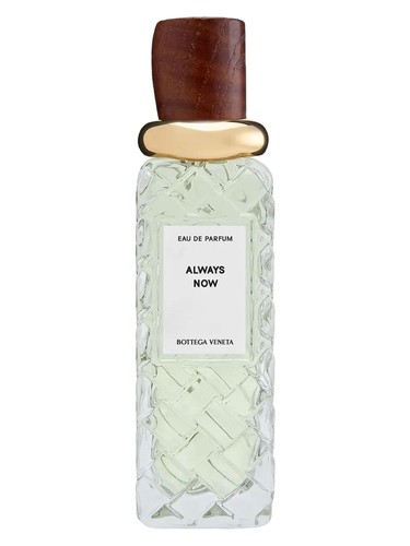 Always Now by Bottega Veneta