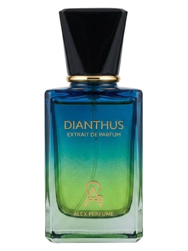 Dianthus by Alex Perfume