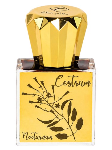 Cestrum Nocturnum by Elixir Attar