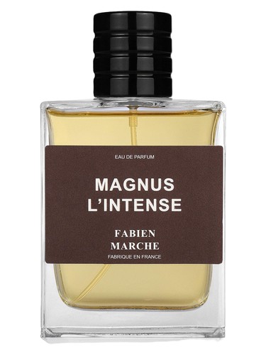 Magnus L’intense by Fabien Marche