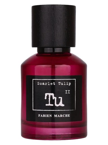 Tu11 Scarlet Tulip by Fabien Marche