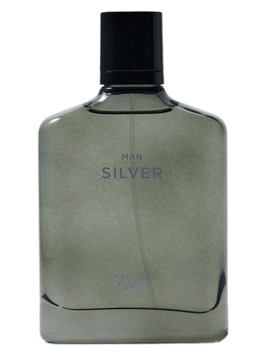 Man Silver by Zara