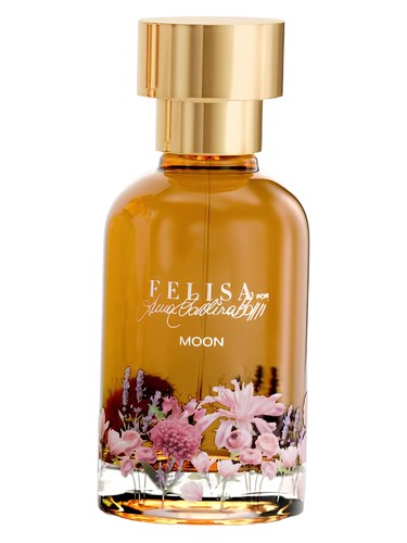 Moon by FELISA