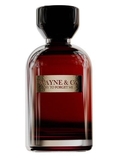 Try to Forget Me by Wayne & Co