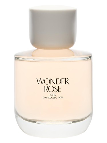 Wonder Rose by Zara