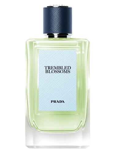 Trembled Blossoms by Prada