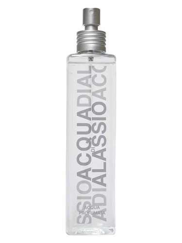 Lady Hanbury by Acqua di Alassio