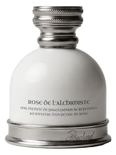 Rose de l'Alchimiste by Pouchard