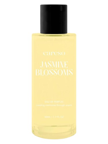 Jasmine Blossoms by Careso