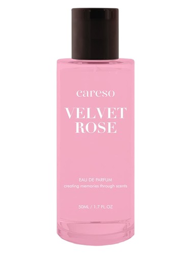 Velvet Rose by Careso