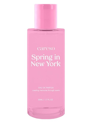 Spring in New York by Careso