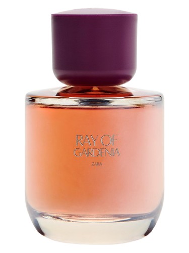 Ray of Gardenia by Zara