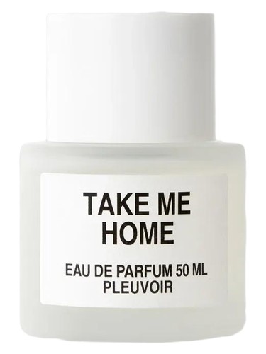 Take Me Home by Pleuvoir