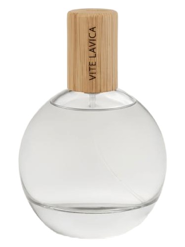 Vite Lavica by Rauvéa