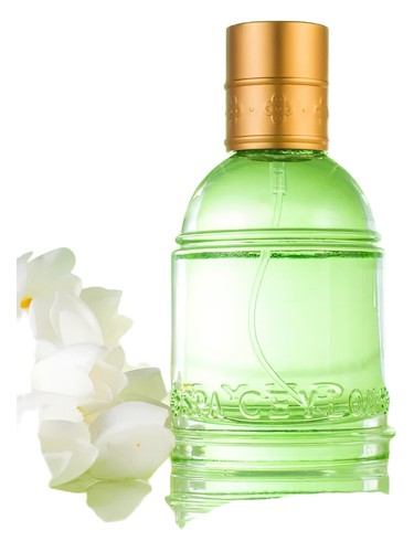 Night Jasmine by Spa Ceylon