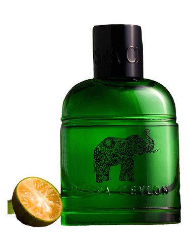 Forest Escape Ceylon Elephant by Spa Ceylon