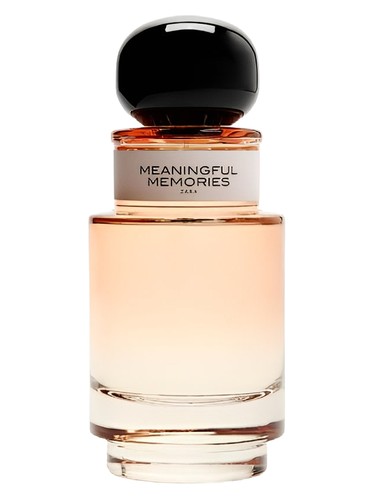 Meaningful Memories by Zara