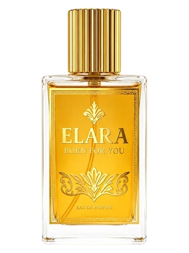 Burn For You by Elara Paris