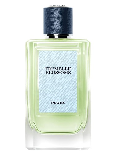 Trembled Blossoms by Prada