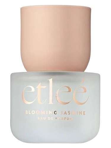 Etleé Blooming Jasmine by Kiss New York