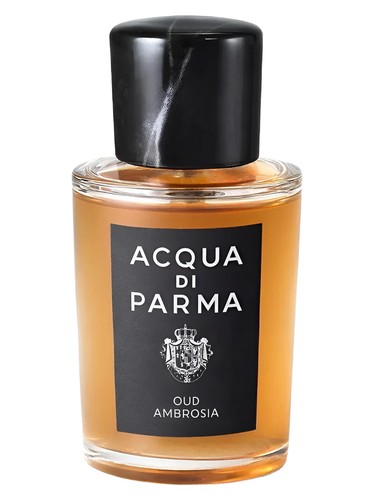 Oud Ambrosia Acqua di Parma 香水 - 2026年のユニセックス 新着