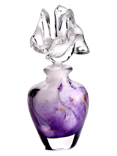 Air Aquarius CnR Create pro ženy