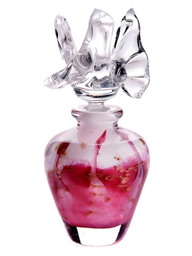 Air Gemini CnR Create pro ženy 