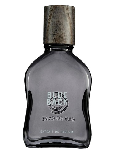 Out Off Cage Blue Back parfüm şişesi
