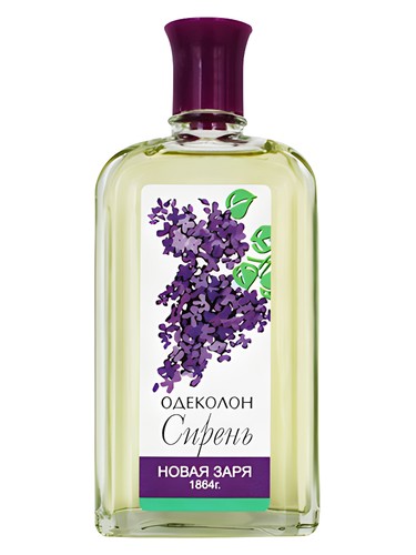 Сирень (Lilac) Новая Заря (The New Dawn) pro ženy 