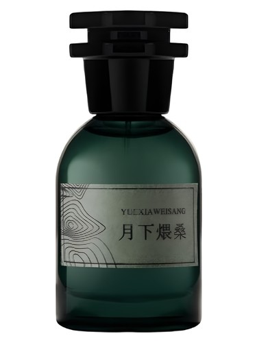 Zhiwuzhi 挚物志 Misty Cypress Ash 青岚柏烬 parfüm şişesi