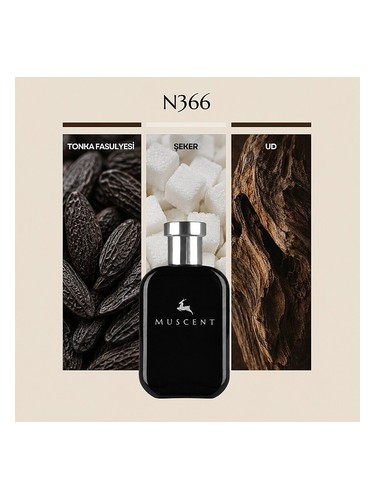 N366 Muscent 香水 - 年のユニセックス フレグランス