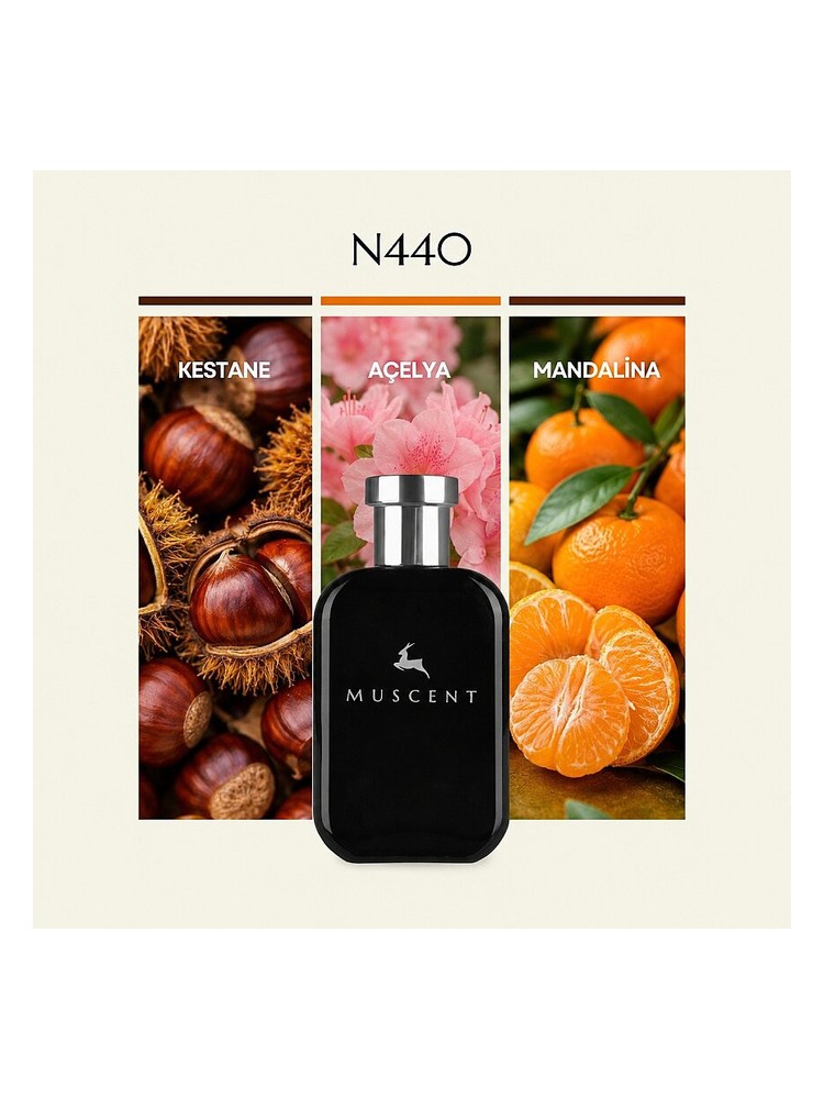 N440 Muscent perfume - a fragrance for women and men