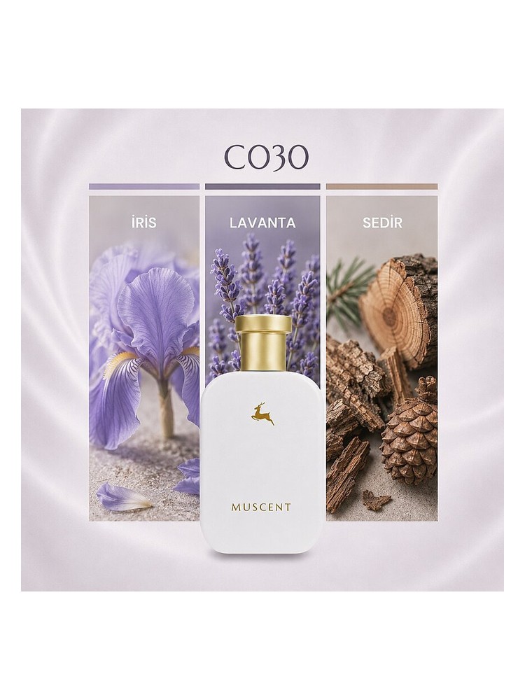 C030 Muscent cologne - a fragrance for men